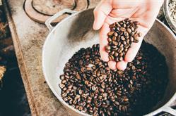 CAFFE' SPLENDID GRANI KG.1