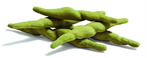 STRIGOLI VERDI KG.3 SURG