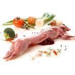 CONIGLIO INTERO CONG.