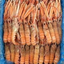 SCAMPI 31/40 GR.750 P.NETTO CONG.