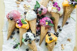 GIRASOLI MASCARPONE E NOCI KG.3 SURG.