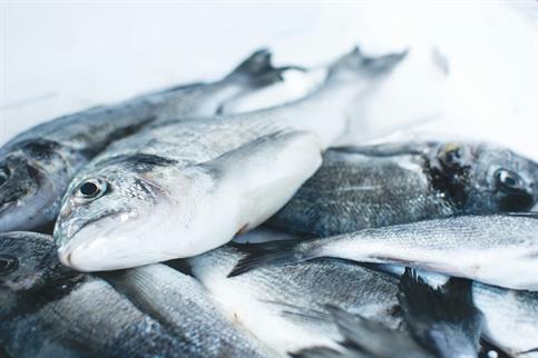 BASTONCINI PESCE IMPANATI SURG.