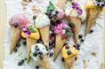 PROFITEROLES CIOCCOLATO SURG. KG1,200
