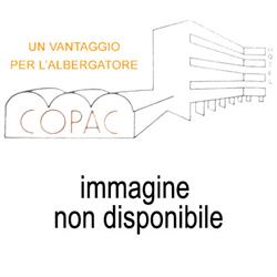 STRACCHINO GALBANI